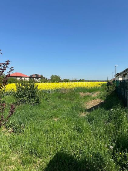 Teren intravilan 26.300 mp Saftica Balotesti - PUZ în lucru - 16