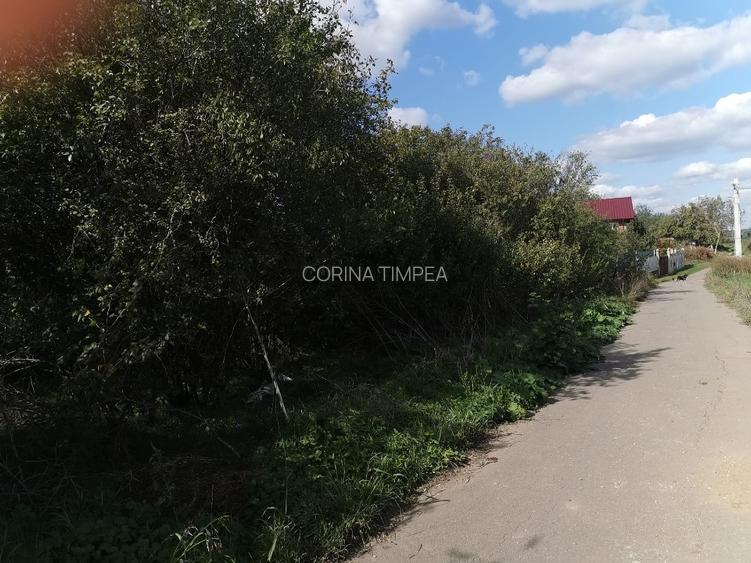 Teren intravilan com.Dascalu Ilfov - 2