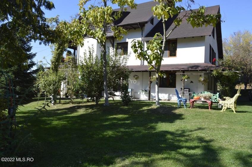 Topoloveni - Conacul Ion Mihalache, Domeniu pe 5 Hectare! - 13