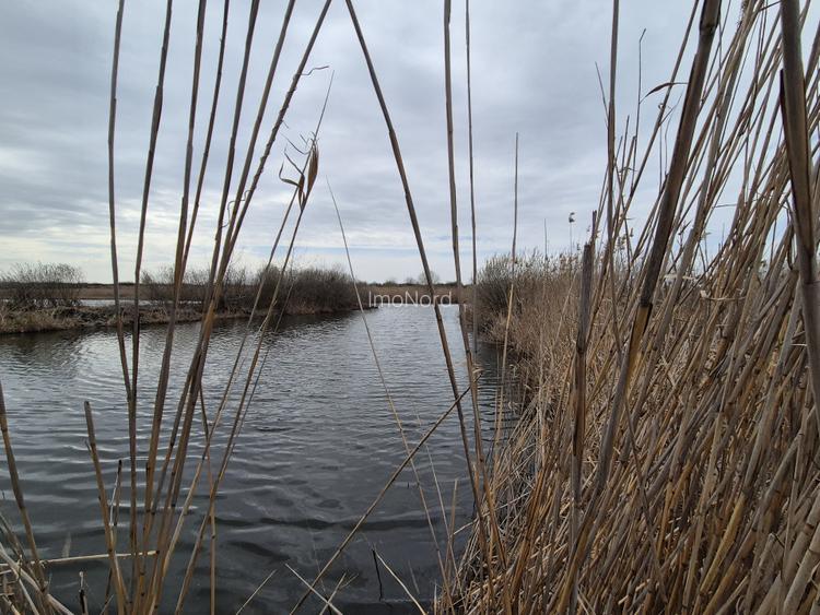 Izvorani - teren cu deschidere la lac - 11