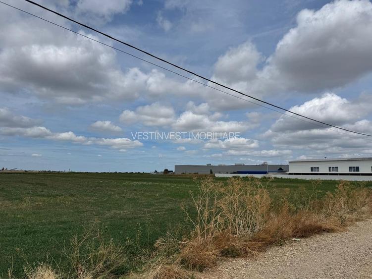 Teren Extravilan Episcopia - 2