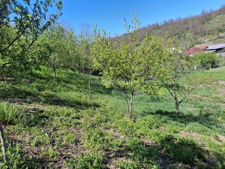 Casă de vânzare în Racoasa – 40 mp + teren 1.400 mp - 4