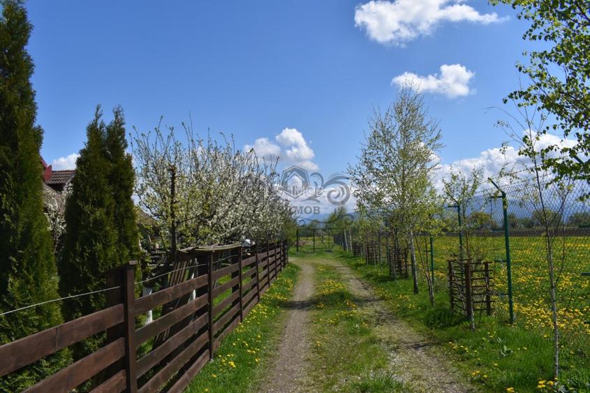 TEREN INTRAVILAN CU CONSTRUCTII AGROTURISTICE SI CABANA CODLEA - 2