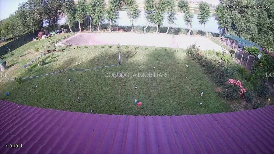 HORIA - 3 CAMERE ,SUPRAFATA 100 MP,TEREN 3000 MP CU DESCHIDERE LA LAC - 15