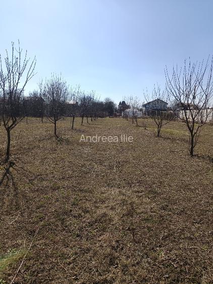 Teren parcelabil/construibil cu casa renovata - ideal investitii - 4