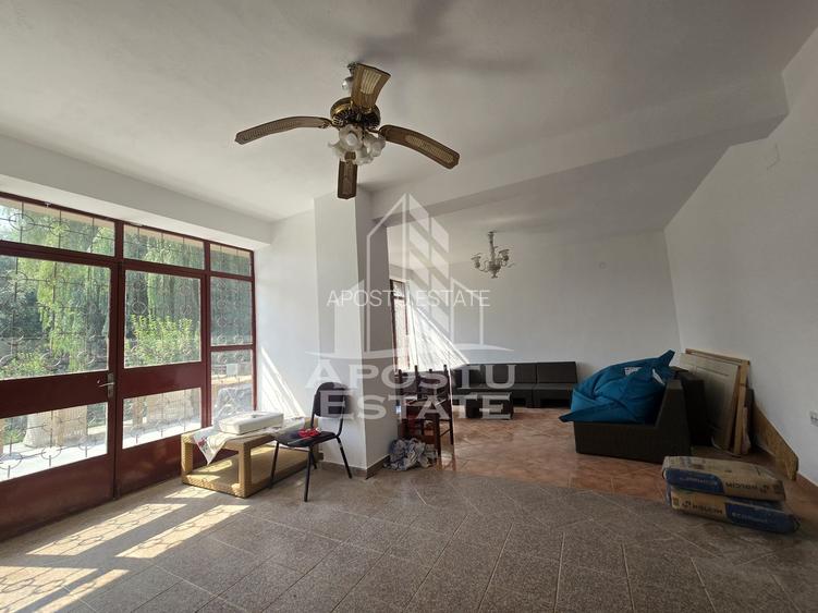 Casa de vanzare, potential pensiune, pe malul Timisului,Sag,comision 0 - 19