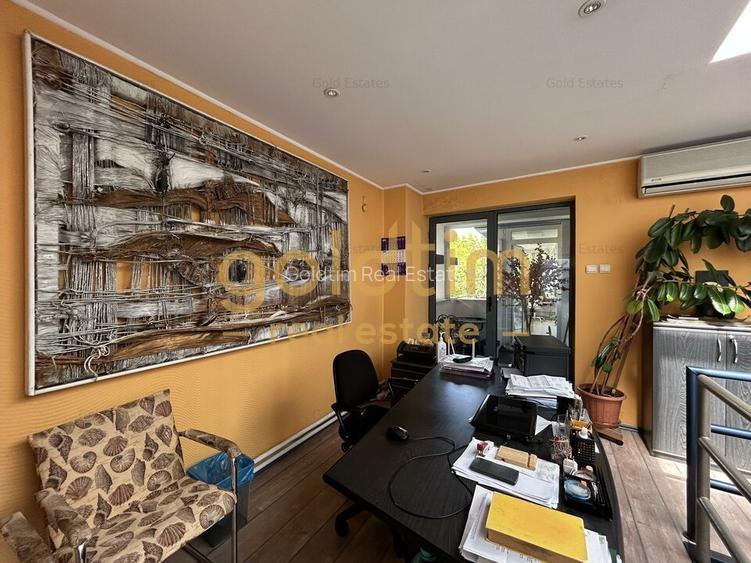 IMOBIL ICONIC: AFTER SCHOOL/COMERCIAL/BIROURI/SCOALA DE ARTA/BD PACHE - PRO TV - 16