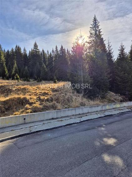 Vanzare Teren 2500 mp.Moroeni - 2