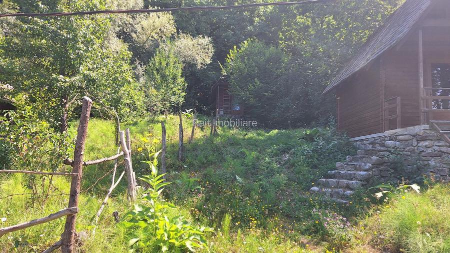 VANZARE ANSAMBLU CASUTE BRADULET ARGES - 18