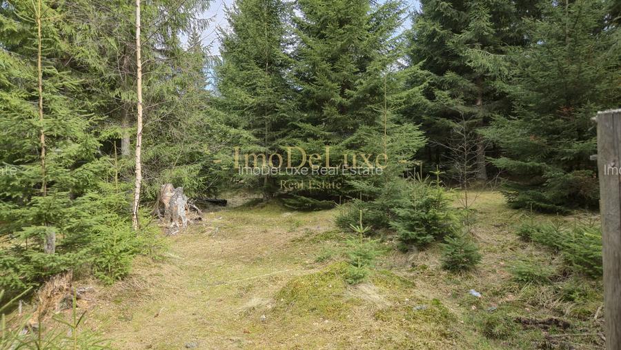 Terenuri cu PUZ, 700 - 1000+ mp, in Marisel, la 400 m de partia de Ski - 10