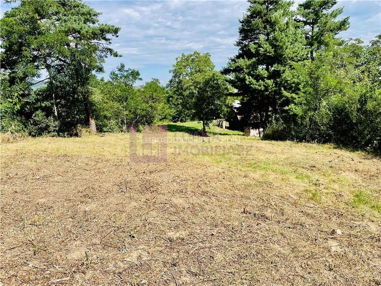 Teren 3581 mp | Marginimea Sibiului | priveliste superba - 2