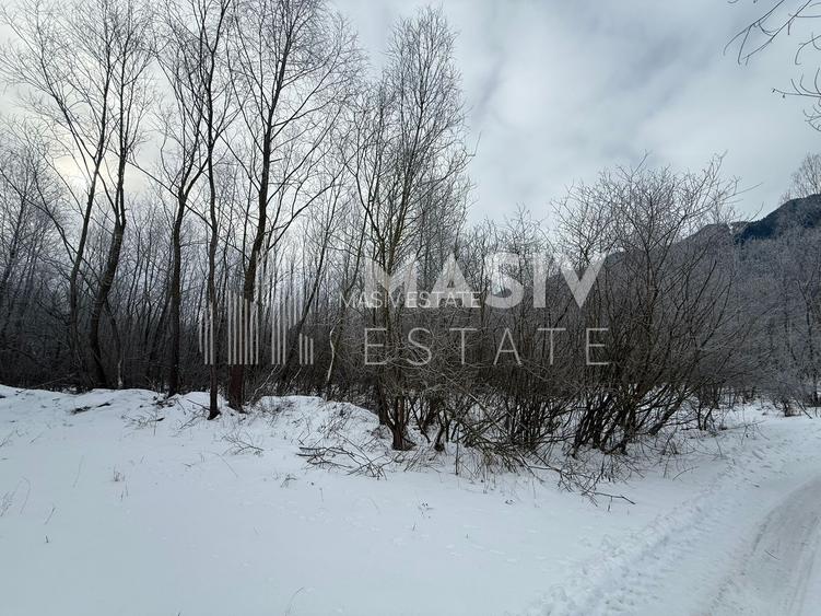 Teren intravilan 6.093 mp – Piatra Arsă, Bușteni, dezvoltare turistică premium! - 6