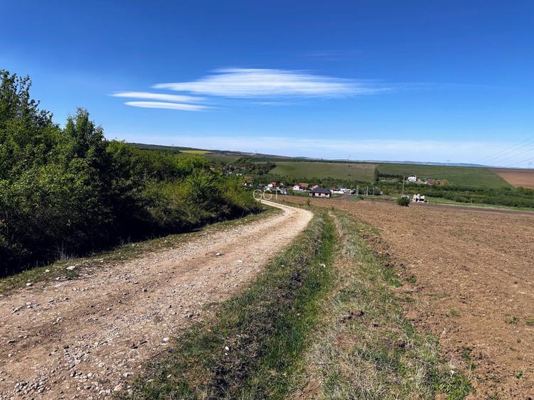 Parcele teren pentru cabane - sat Rusciori 567 mp - direct de la proprietar! - 5