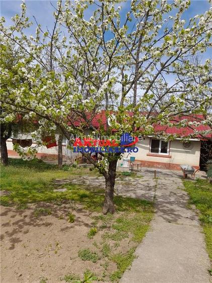 Vanzare Casa cu Teren 1200mp in Com.Mihai Bravu-Giurgiu - 3
