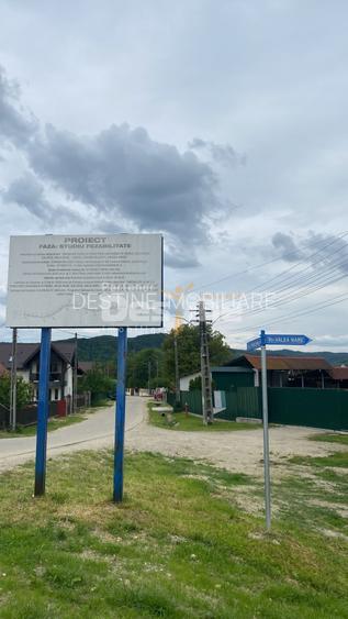 PĂDURE DE VÂNZARE – 17 HA – VALEA MARE, COMUNA BĂLILEȘTI, JUDEȚUL ARGEȘ - 2