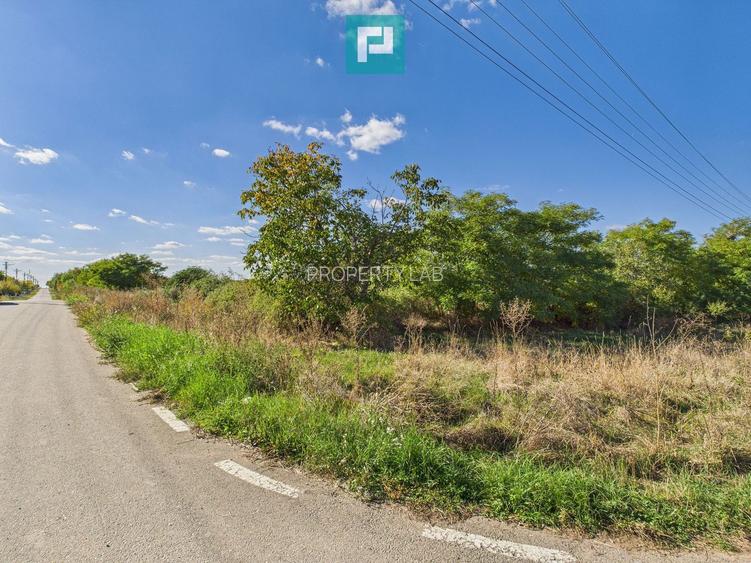 Teren intravilan 6115mp pentru investiții Firiteaz - 8