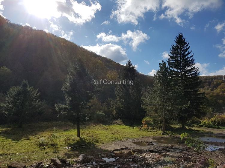 Teren intravilan ideal si de investitie, in Loc. Resita, strada Ciresului - 2