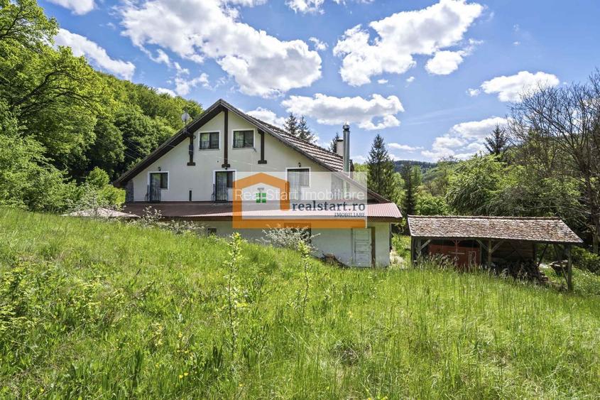 Oportunitate, Restaurant cu MiniPensiune 800mp, 1,8ha teren, Via Transilvanica - 49