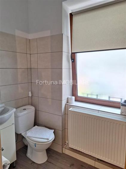 Apartament mobilat si utilat, centrul istoric - 6