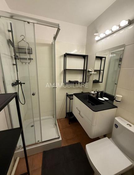 AP.2 CAMERE ROSETTI,CENTRALA PROPRIE,DOG-FRIENDLY,MOBILAT MODERN - 4