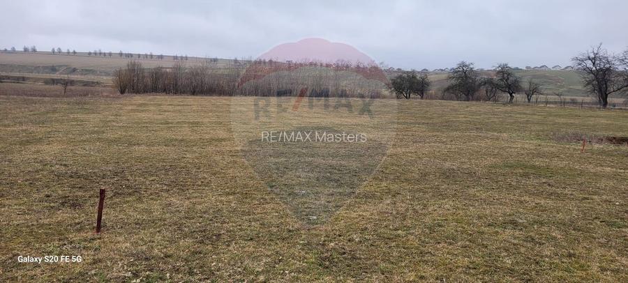 Teren 2925 mp comuna Mitocu Dragomirnei - 20