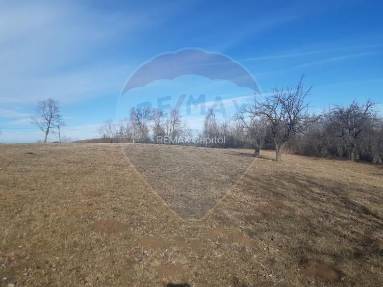 Teren 10,279 mp Bran- Predelut / Strada Pe Tarina nr. 70A - 13