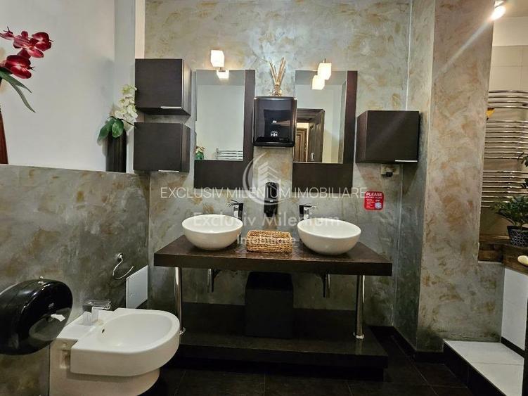 Vila Exclusivista Cișmigiu  - Stirbei Voda Birouri - 8