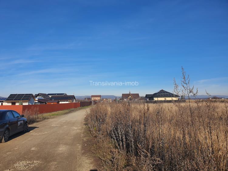 De vanzare teren Brasov Harman zona de case - 3