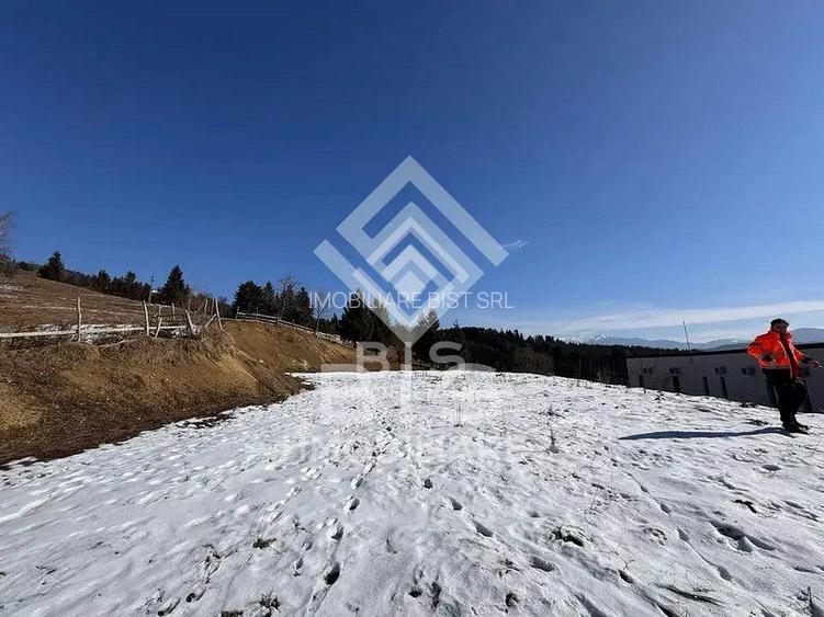 Teren intravilan Colibita 26 arii - 4