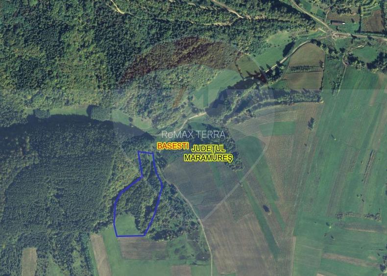 Pădure de vanzare cu zona de cabană Odesti - 2
