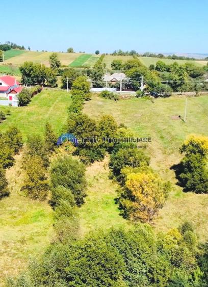 TEREN intravilan  2510 mp BORLEȘTI - ȘOVOAIA - 6