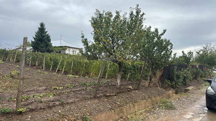 Vand  teren intravilan in Valea Călugărească, parcela excelenta pentru  locuinta - 4
