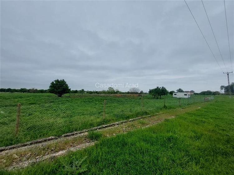 Teren intravilan cu potential multiplu! - 11