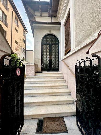 Vanzare vila Gradina Icoanei - Dacia - curte, casa de oaspeti - 4