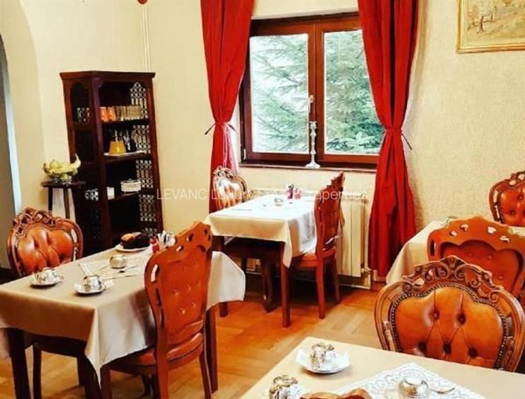 PENSIUNE 12 CAMERE - ELEGANTA SI CONFORT - 7