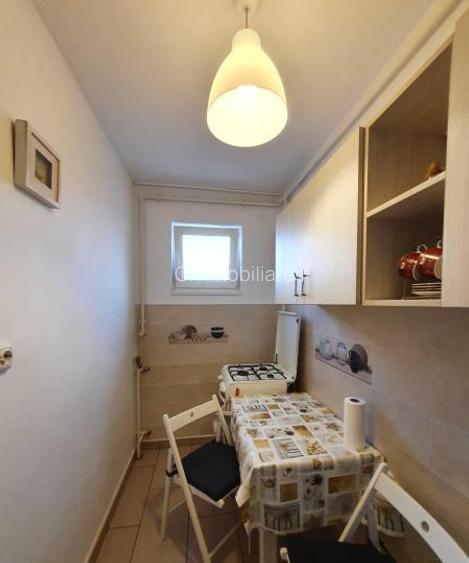 Garsoniera Theodor Pallady - 4