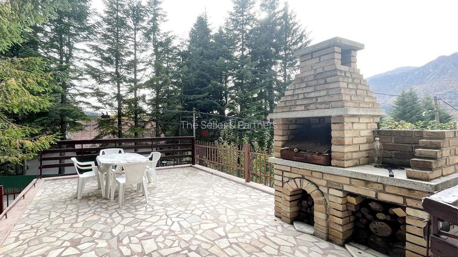 Priveliste Panoramica Muntii Bucegi - 10