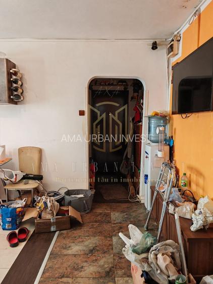 3 camere hol H, Teiul Doamnei, Maica Domnului - 9