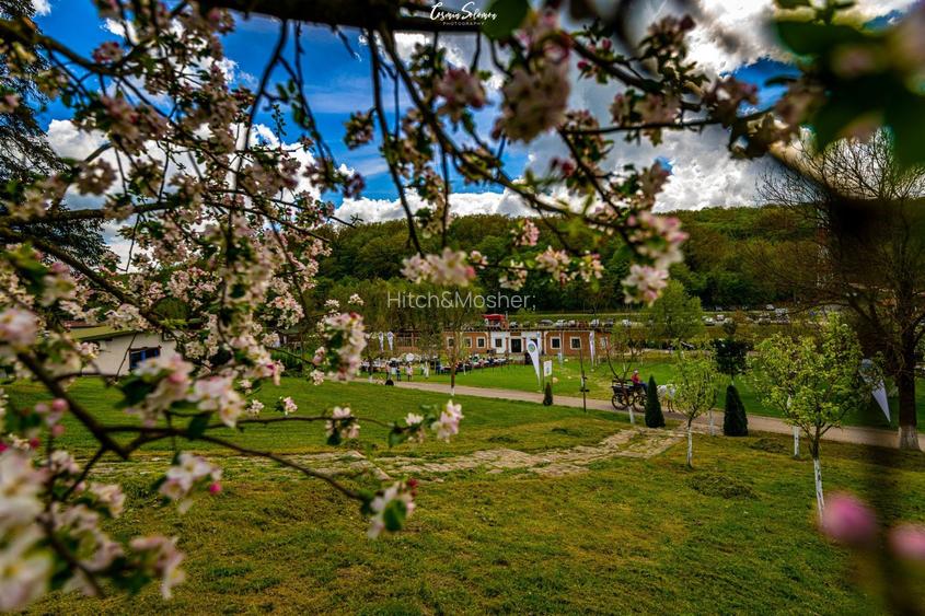 Domeniul Herneacova - 2