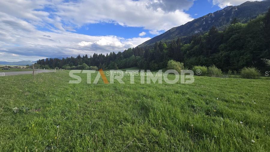 Teren intravilan Zarnesti Plaiul Foii - 16