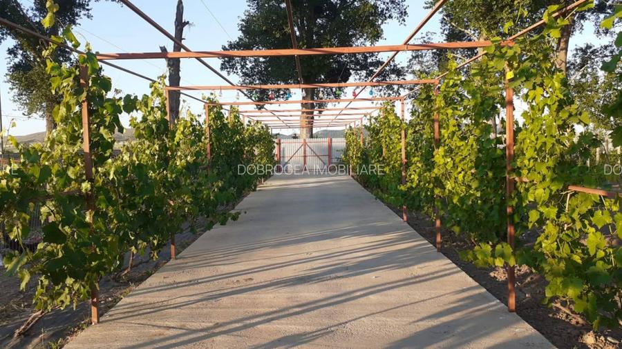 HORIA - 3 CAMERE ,SUPRAFATA 100 MP,TEREN 3000 MP CU DESCHIDERE LA LAC - 5