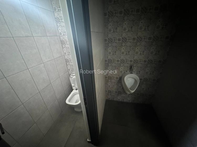 Spațiu comercial de închiriat în Trivale - 233mp - 9