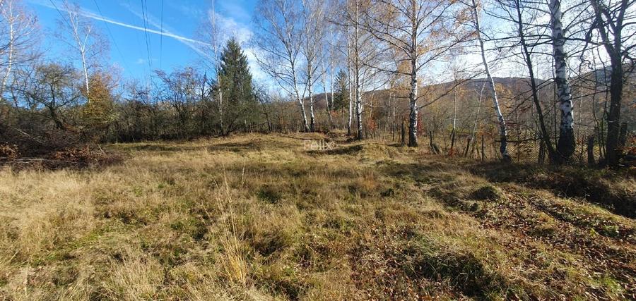 TERE la baza STAȚIUNII STRAJA - LUPENI - 4