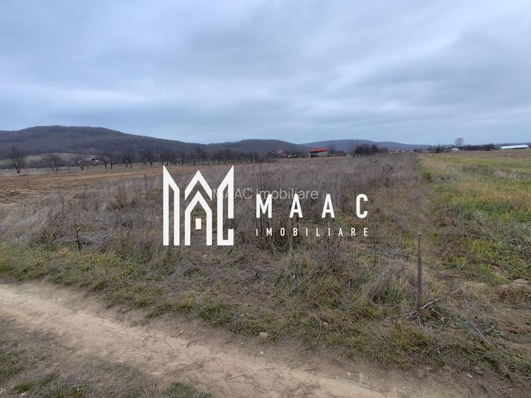 Teren de vânzare – 2236 mp, Budești, la doar 10 km de Râmnicu Vâlcea - 3