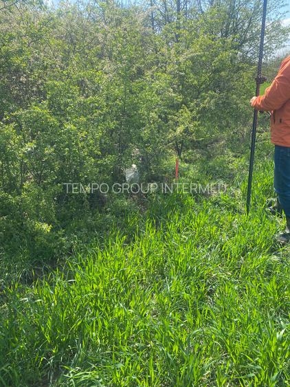 Sabareni - Certificat de Urbanism - 5808mp teren pentru investitie !! - 17