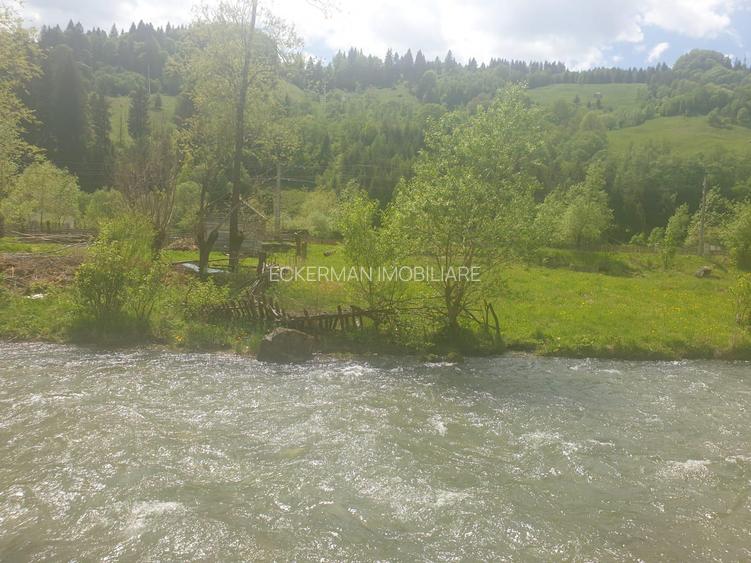 Rucar-Satic, teren intravilan de vanzare, lotur intre 500-5000 mp, peisaj superb - 9