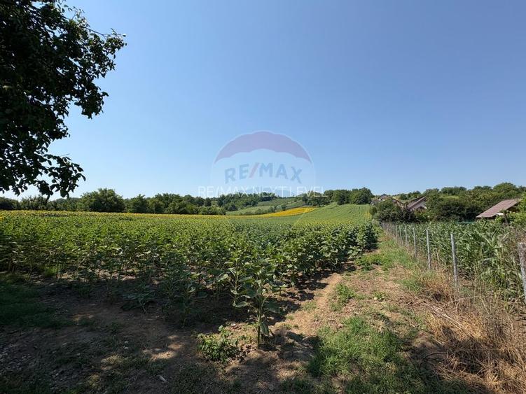 Teren 9,012mp Saucesti / Strada Cireșului - 4