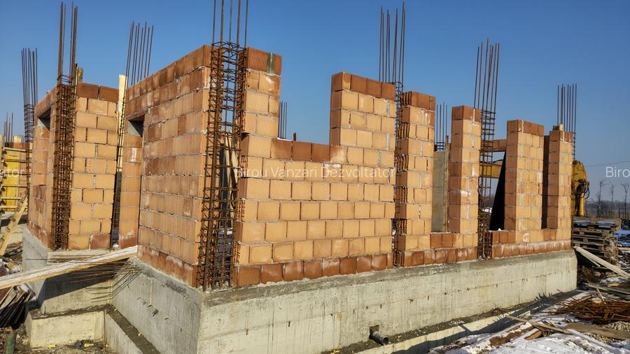 Vile individuale padurea Rosu  - 14