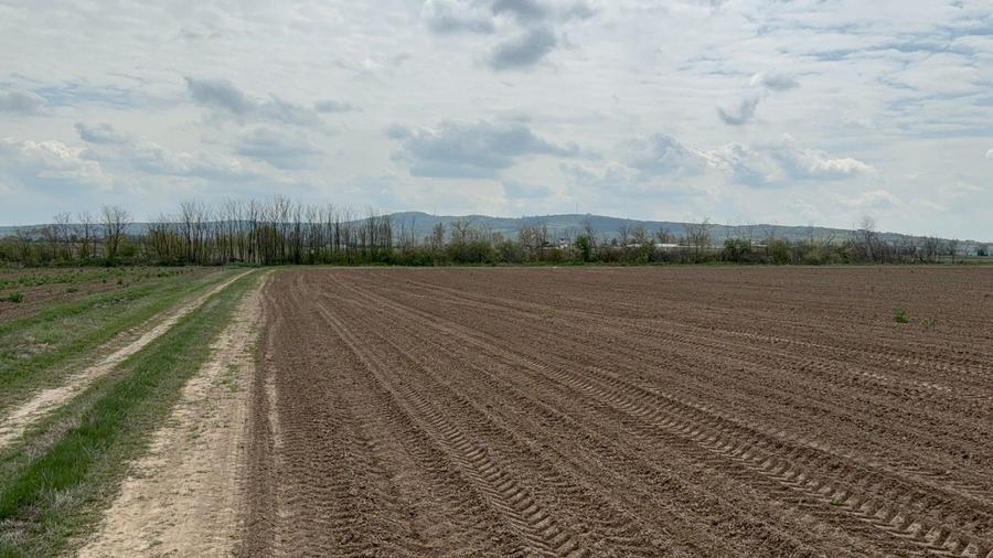 Investitie sigura! Teren agricol 10ha Buzias - Timis