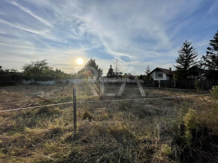 O oportunitate rara in Corbeanca - zona linistita, aproape de Padurile Regale - 5